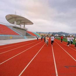 拼裝運動地板供應與批發指南 產品、價格與選購渠道